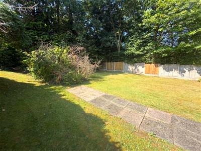 Picture 11